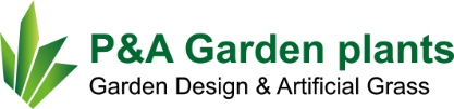 LOGO TOP
