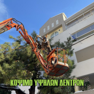 ΚΟΨΙΜΟ ΥΨΗΛΩΝ ΔΕΝΤΡΩΝ